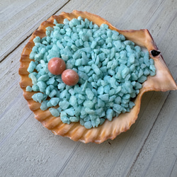 アウトレット　珊瑚　ボタン型　半円状　チタンピアス【花香】 6枚目の画像