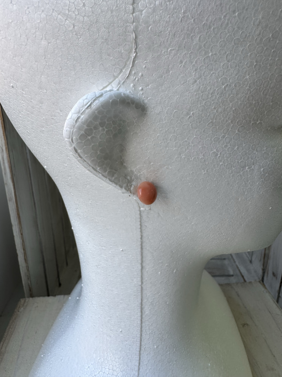 アウトレット　珊瑚　ボタン型　半円状　チタンピアス【花香】 16枚目の画像