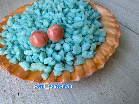 アウトレット　珊瑚　ボタン型　半円状　チタンピアス【花香】 1枚目の画像