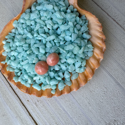 アウトレット　珊瑚　ボタン型　半円状　チタンピアス【花香】 3枚目の画像