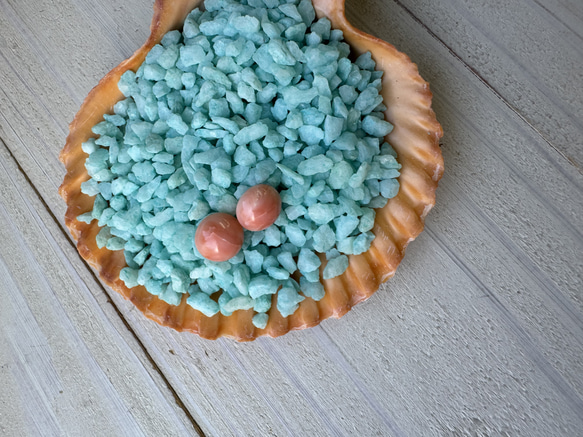 アウトレット　珊瑚　ボタン型　半円状　チタンピアス【花香】 3枚目の画像