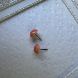 アウトレット　珊瑚　ボタン型　半円状　チタンピアス【花香】 12枚目の画像