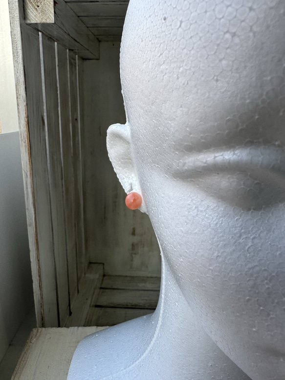 アウトレット　珊瑚　ボタン型　半円状　チタンピアス【花香】 17枚目の画像