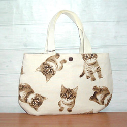 お座りをした茶トラの子猫が可愛いミニトートバッグ／ランチタイム／犬