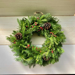 シンプルフレッシュスワッグ 正月飾り しめ飾り 玄関○大王松スワッグ