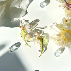 カサブランカ（フック）p1158 ピアス（フック・チェーン） Cuore☆年末