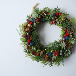 the coffee mame / X'mas ドライフラワー DAYFLOWERS 通販 18498206