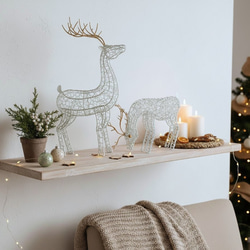 368dfa3885df81b12ac7055633d162