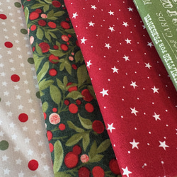 クリスマスSALE20％OFF！2025年！モダ！小さめ『クリスマス柄　30cm×27cm 5枚セット』～グリーン系②～ 2枚目の画像