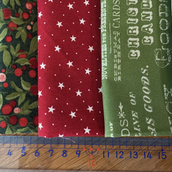 クリスマスSALE20％OFF！2025年！モダ！小さめ『クリスマス柄　30cm×27cm 5枚セット』～グリーン系②～ 4枚目の画像