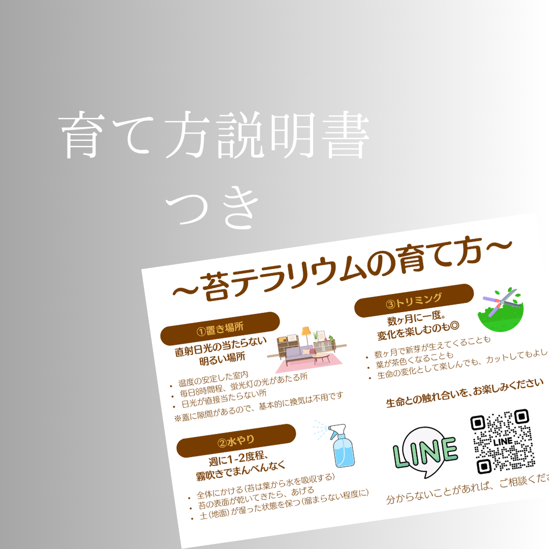 【一点物】アートテラリウム〜水鏡〜「影樹の息吹」(完成品・フタ付き)約10cm