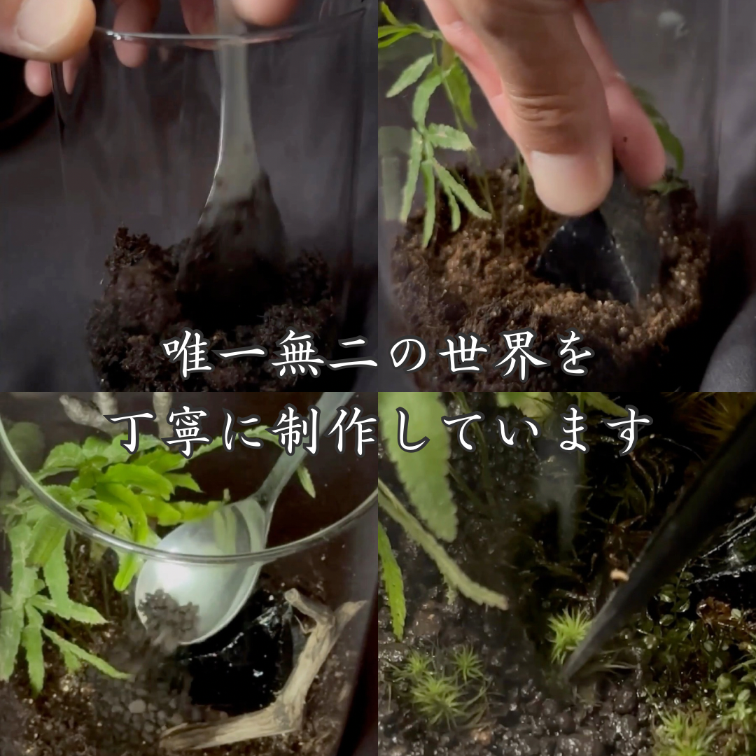 【一点物】アートテラリウム〜水鏡〜「影樹の息吹」(完成品・フタ付き)約10cm