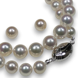 黒真珠ネックレス イヤリングorピアスセット 約45cm ピーコック系