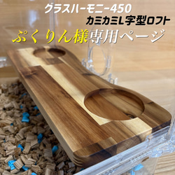 ハムスター グラスハーモニー600専用ロフト 階段付属 ハウス・小屋
