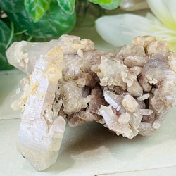 糸魚川 ✨ 翡翠 原石 ジェダイド タンブル 天然石 東洋占星術師の娘