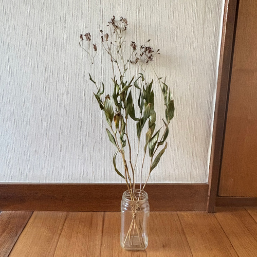 シュウメイギク ホトトギス 50cm 16本 ＊ 茶花 縁起飾り お正月飾り 山