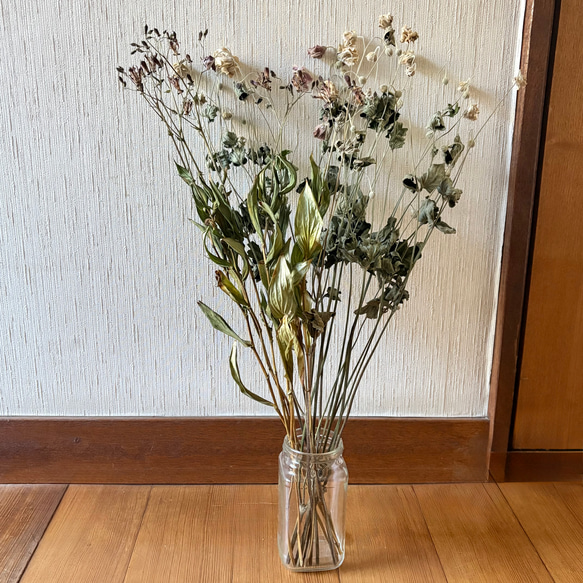 シュウメイギク ホトトギス 50cm 16本 ＊ 茶花 縁起飾り お正月飾り 山