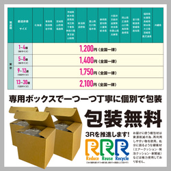  第7張的照片