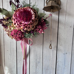 ブッダナッツ＊* コットン/ローゼル ドライフラワー Chêne 通販