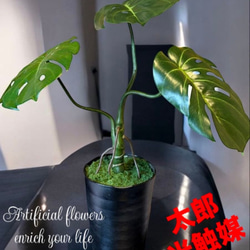 光触媒 人工観葉植物 ウォールグリーン フェイクグリーン アーバン