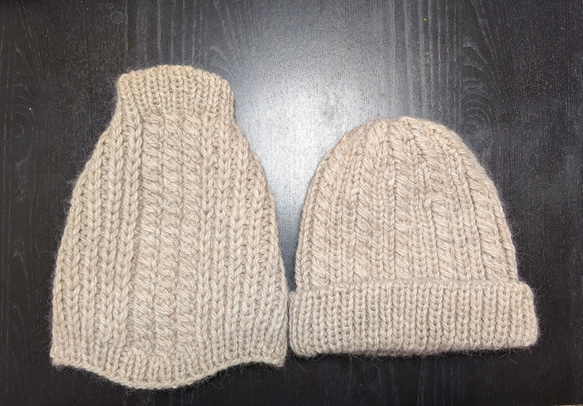 T様専用ページ,愛犬とお揃いコーデ♪(ワンちゃんのセーターとお揃いのニット帽) 1枚目の画像