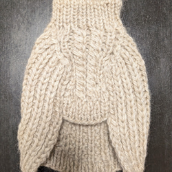 T様専用ページ,愛犬とお揃いコーデ♪(ワンちゃんのセーターとお揃いのニット帽) 2枚目の画像