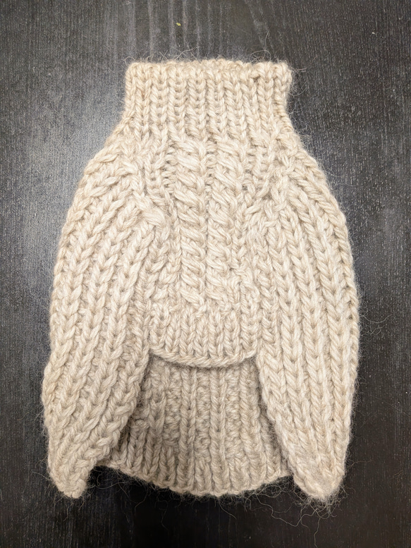 T様専用ページ,愛犬とお揃いコーデ♪(ワンちゃんのセーターとお揃いのニット帽) 2枚目の画像