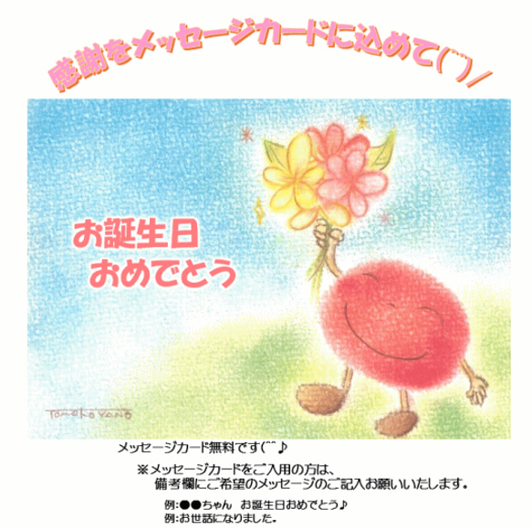 【終売】冬の食卓セット 9枚目の画像