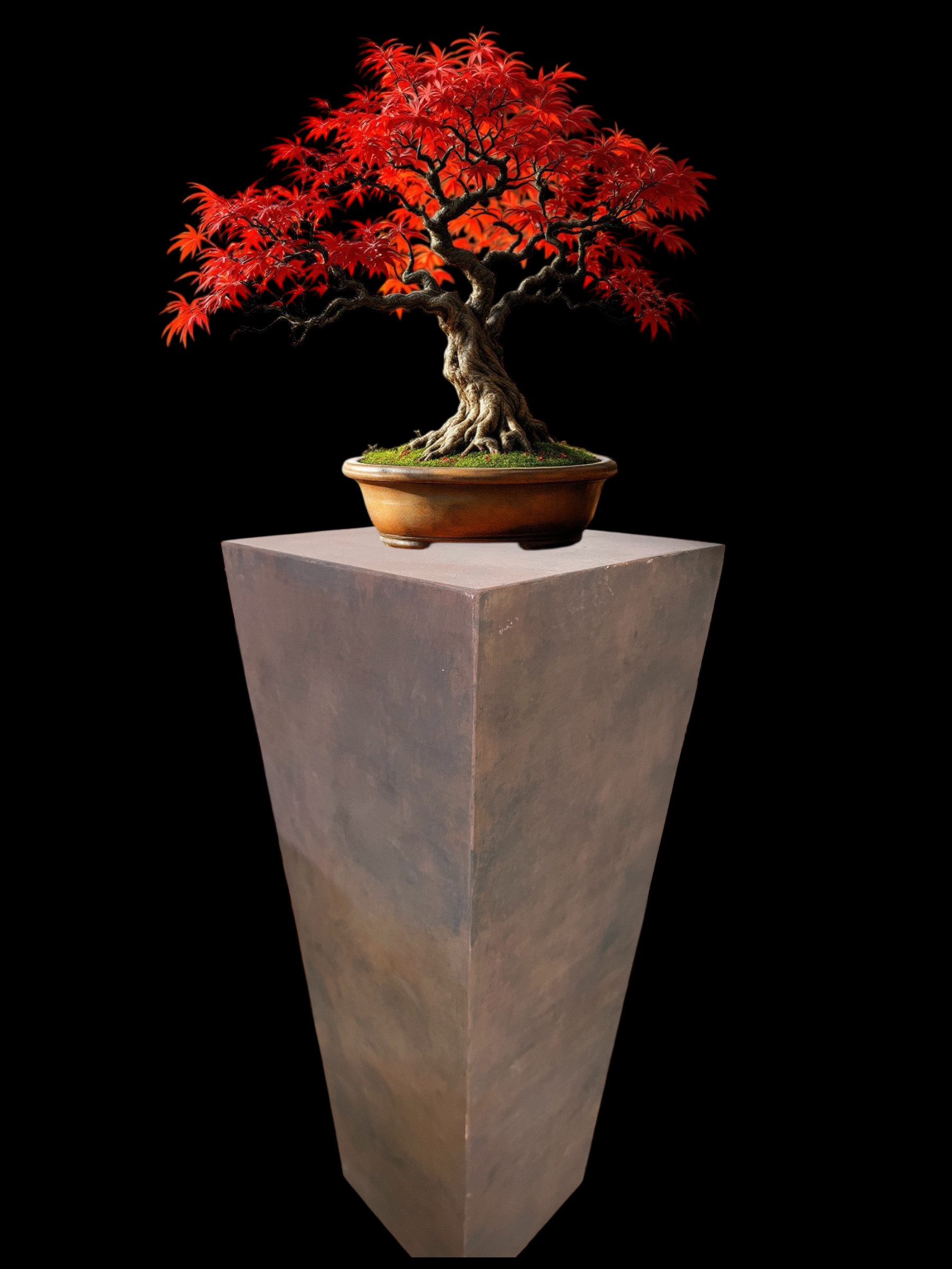 錆色塗装　ディスプレイボックス