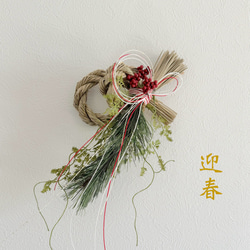 多肉植物 ピンクリップスティック 韓国苗 多肉植物 pariʚ