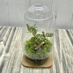 光触媒 人工観葉植物 ウォールグリーン フェイクグリーン オリーブ1.6