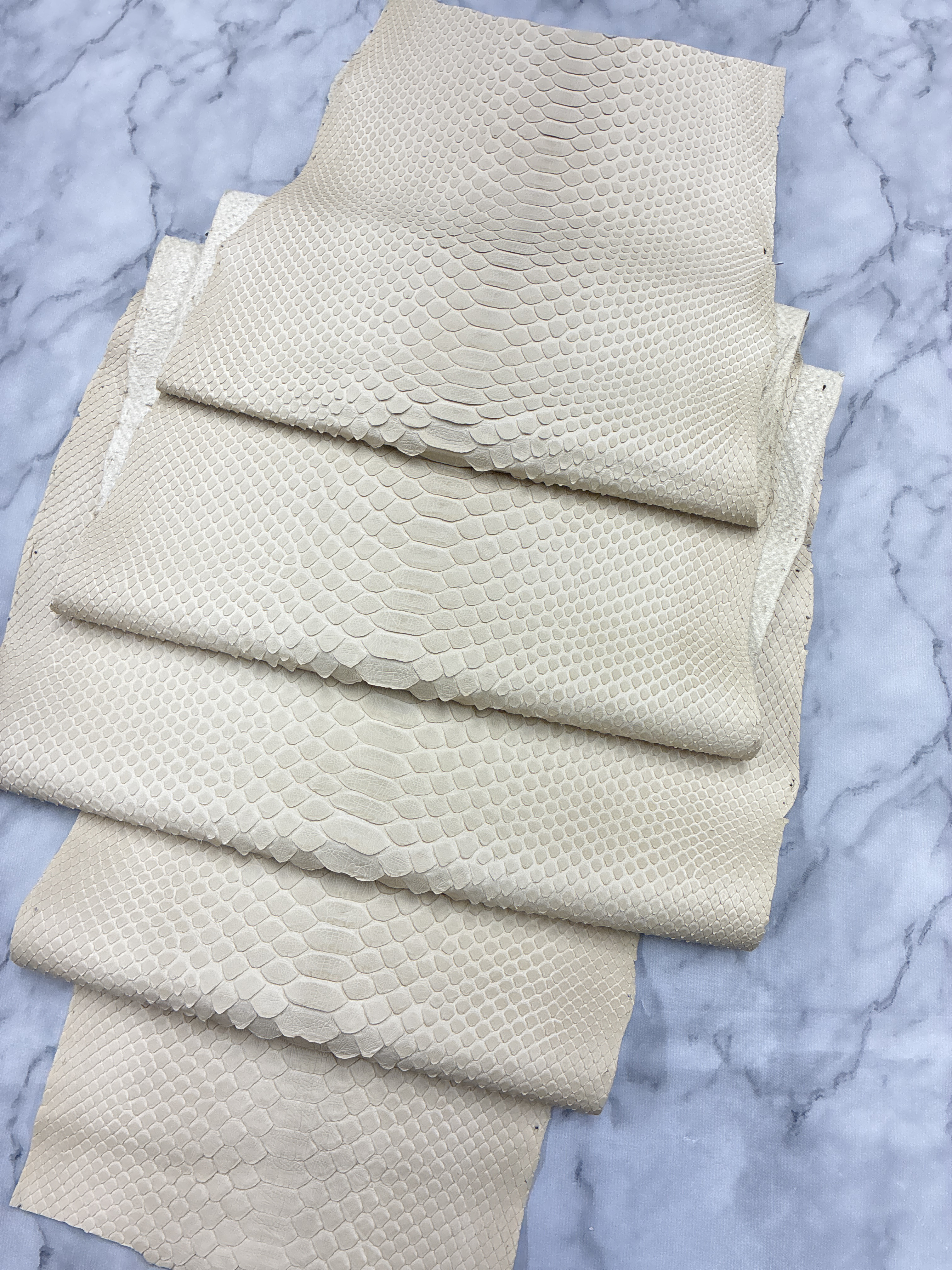 パイソン ヘビ革 アイボリー×マット 250cm革_P230