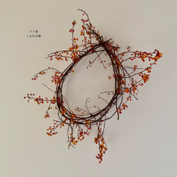 新作 特大 55x27cm クリスマス スワッグ ユーカリ ネイティブ ドライ