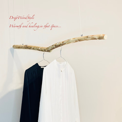 流木インテリア シンプルな流木のハンガーフック 流木ハンガー