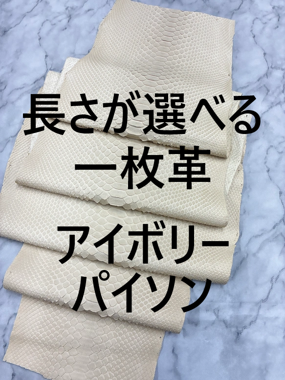 パイソン ヘビ革 アイボリー×マット 一枚革_P231-235
