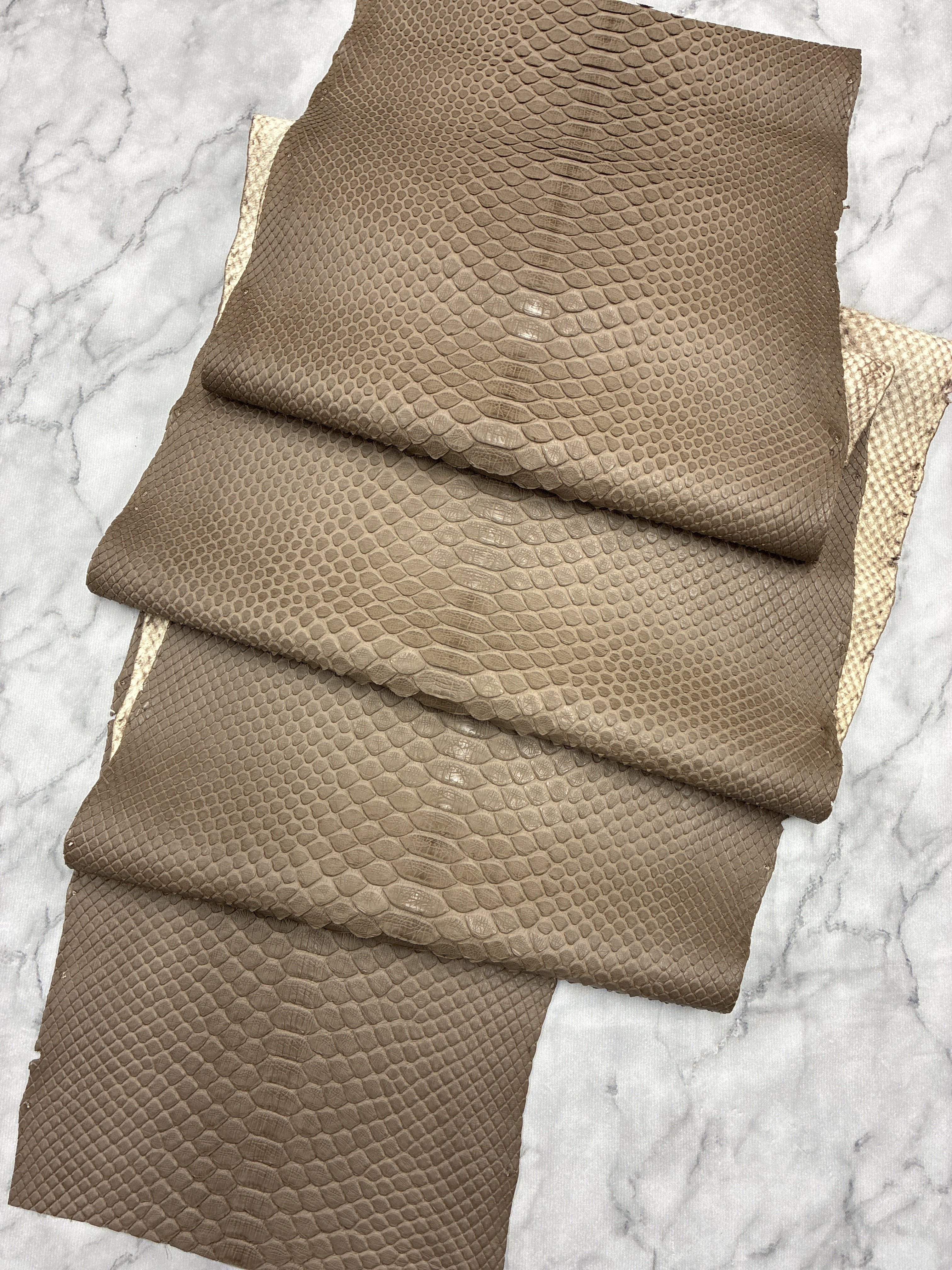 パイソン ヘビ革 ブラウン×マット 一枚革_P245