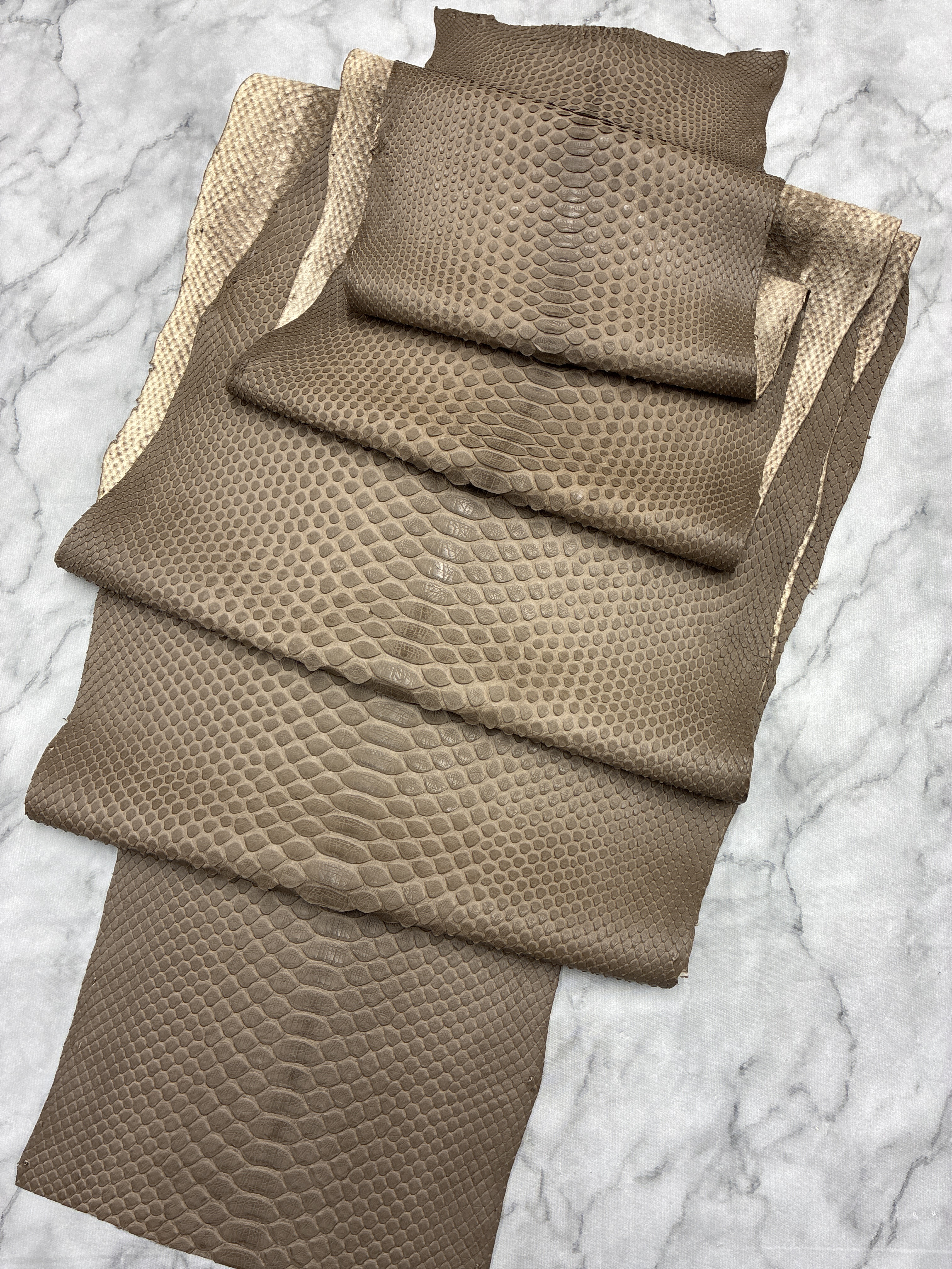パイソン ヘビ革 ブラウン×マット 一枚革_P246