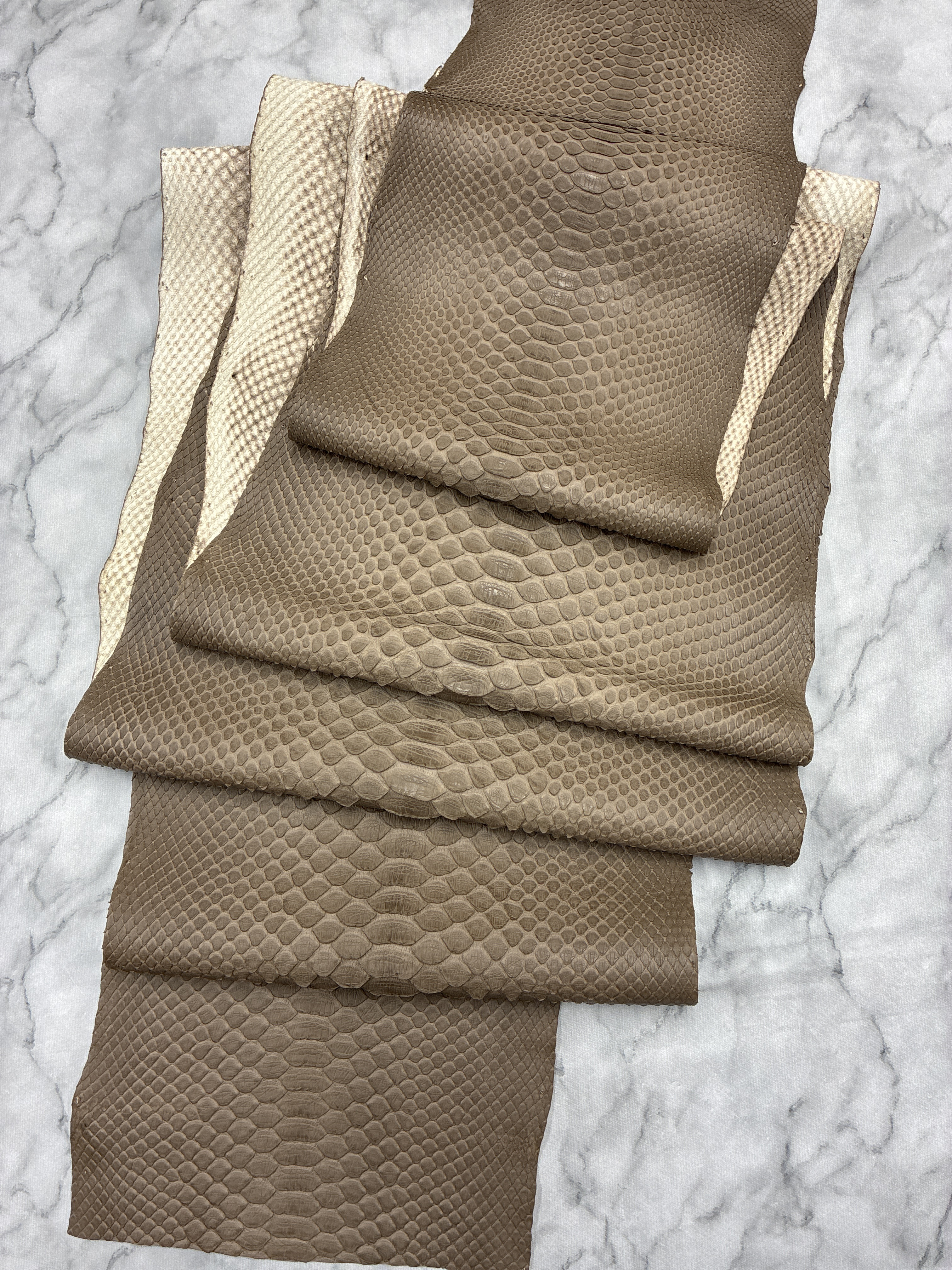 パイソン ヘビ革 ブラウン×マット 一枚革_P247