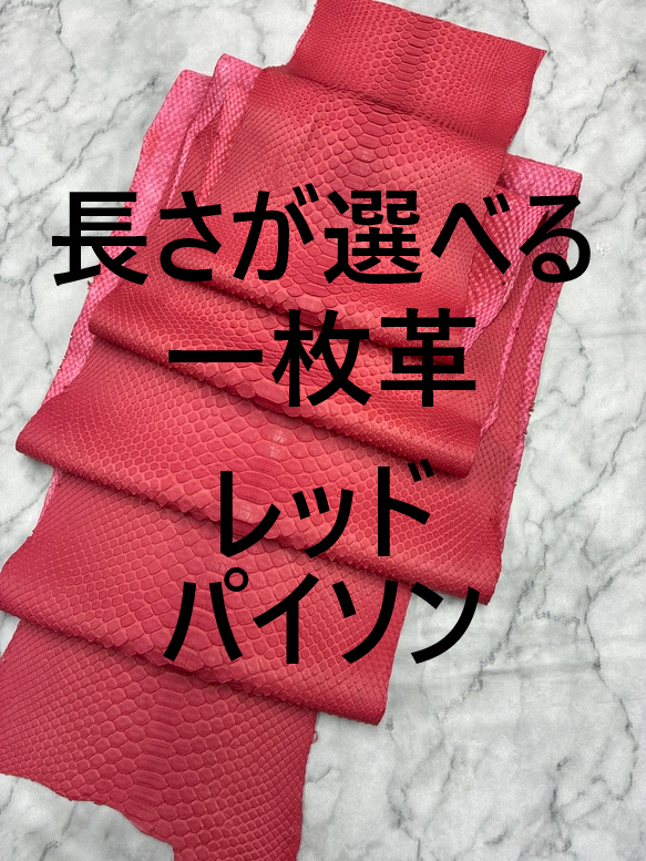 パイソン ヘビ革 レッド×マット 一枚革_P249-251