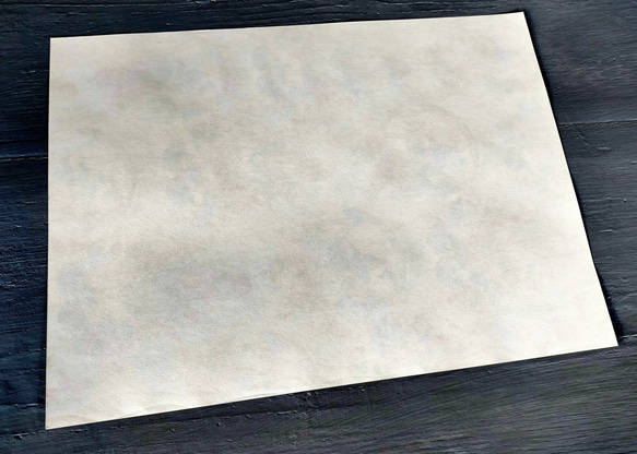 U.S.A. ヴィンテージ包装紙【コーンスワッグと小鳥達】DA-WP094 7枚目の画像