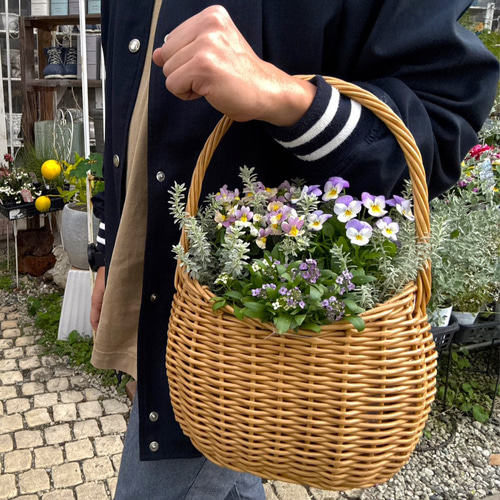 寄せ植え　花■大人可愛いバスケット 寄せ植え】-TEFNIQUE-寄せ植え 2021 * no.2 * 『大人可愛い春のお花