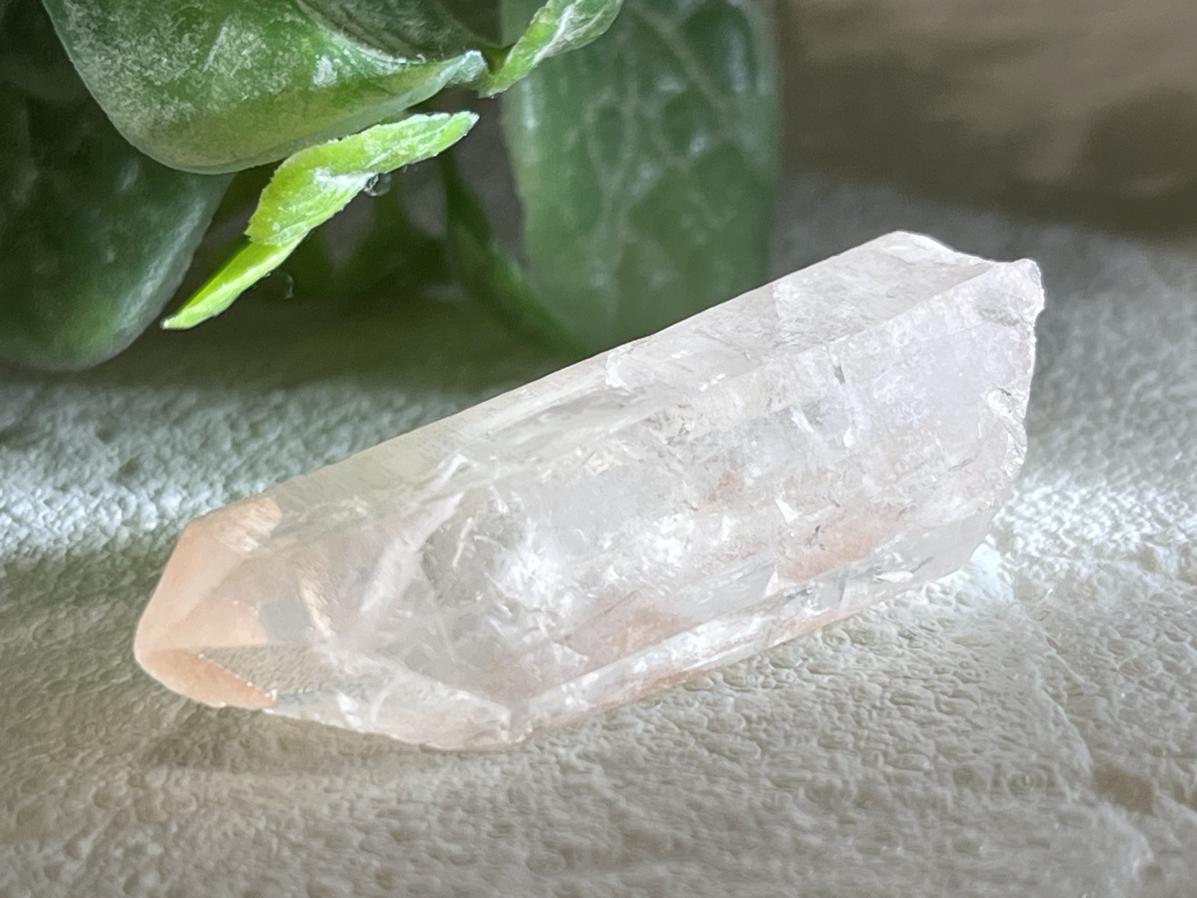 流星群✴︎ スターシード レインボーレムリアンシードクリスタル　ピンク　グリフ