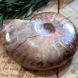 瞑想と夢の石°⌖꙳ ブルーバライト ラフストーン 原石 天然石 東洋