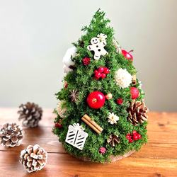 どんぐりアート 置き物 オブジェ どんぐりの妖精 木の実 クリスマス