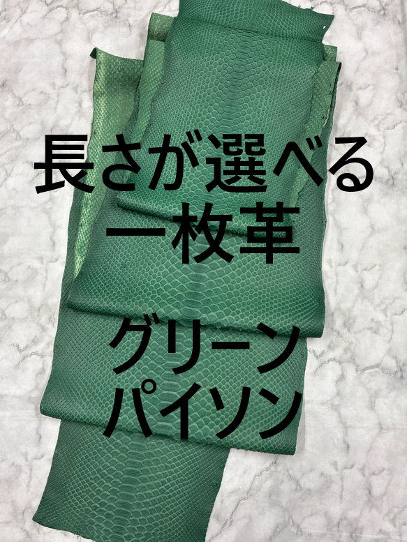 パイソン ヘビ革 フォレストグリーン×マット 一枚革_P264.266.268