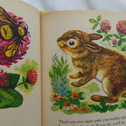 Little Peter Cottontail ちいさなピーターラビット WONDER BOOK