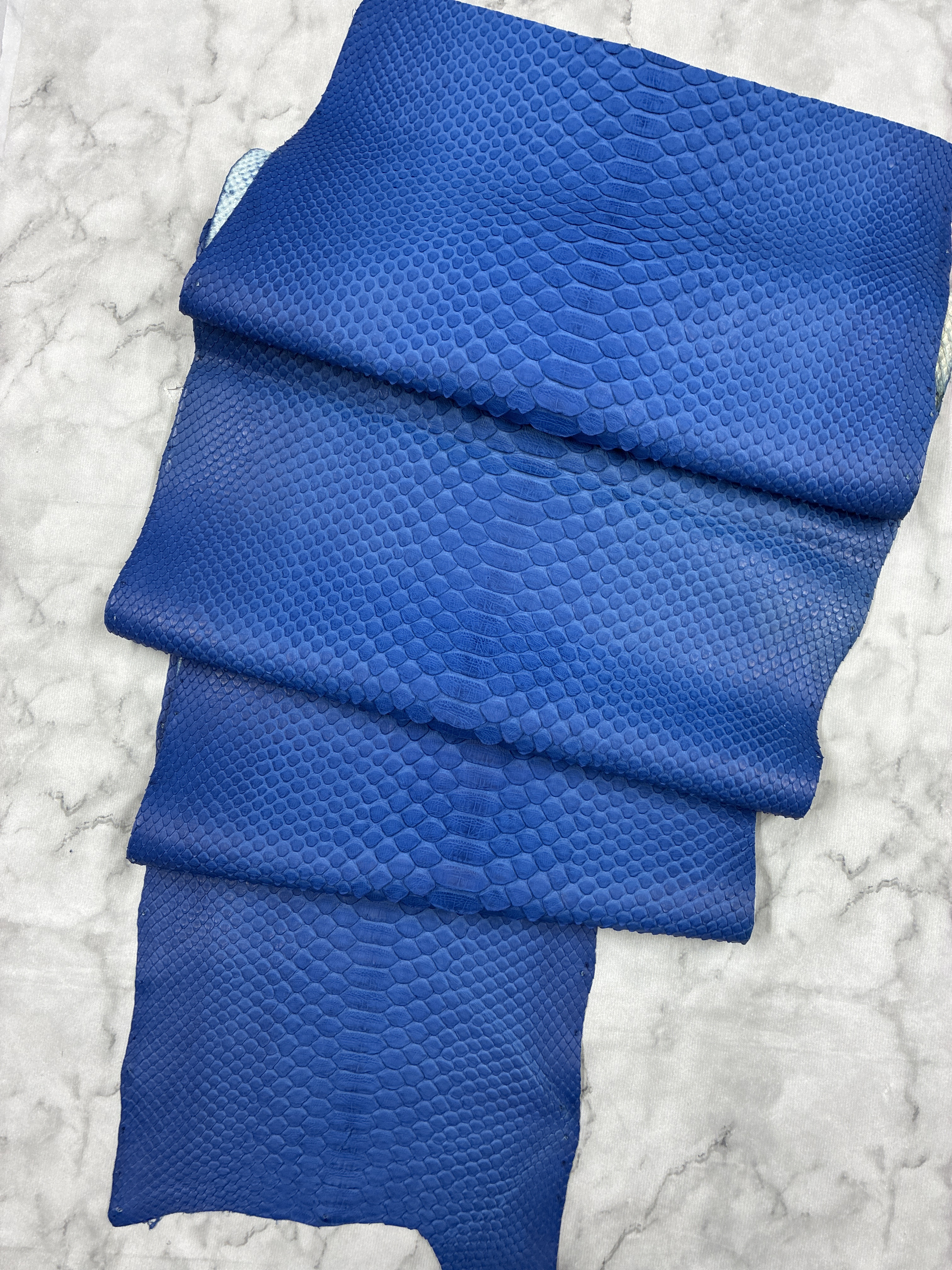 パイソン ヘビ革 ブルー×マット 209cm_P272