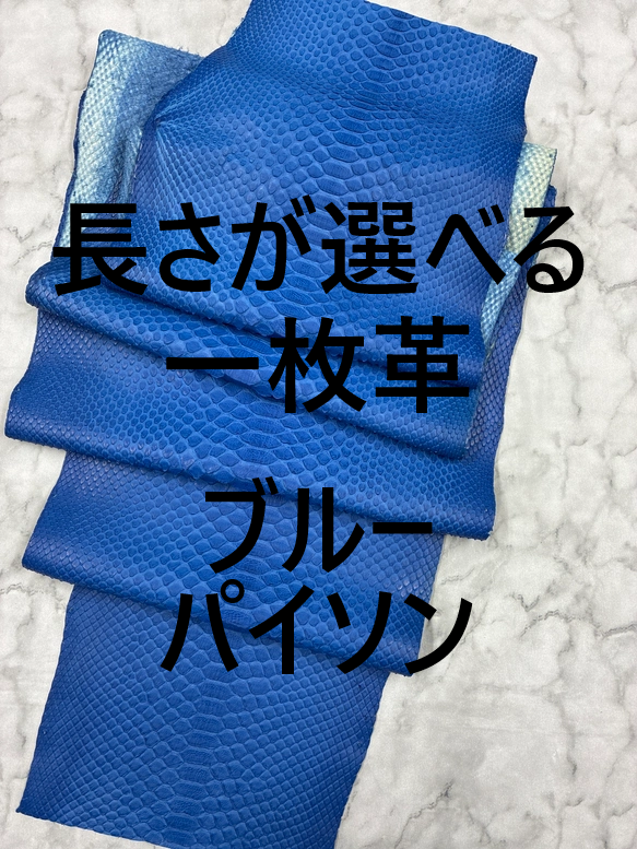 パイソン ヘビ革 ブルー×マット 一枚革_P269-271