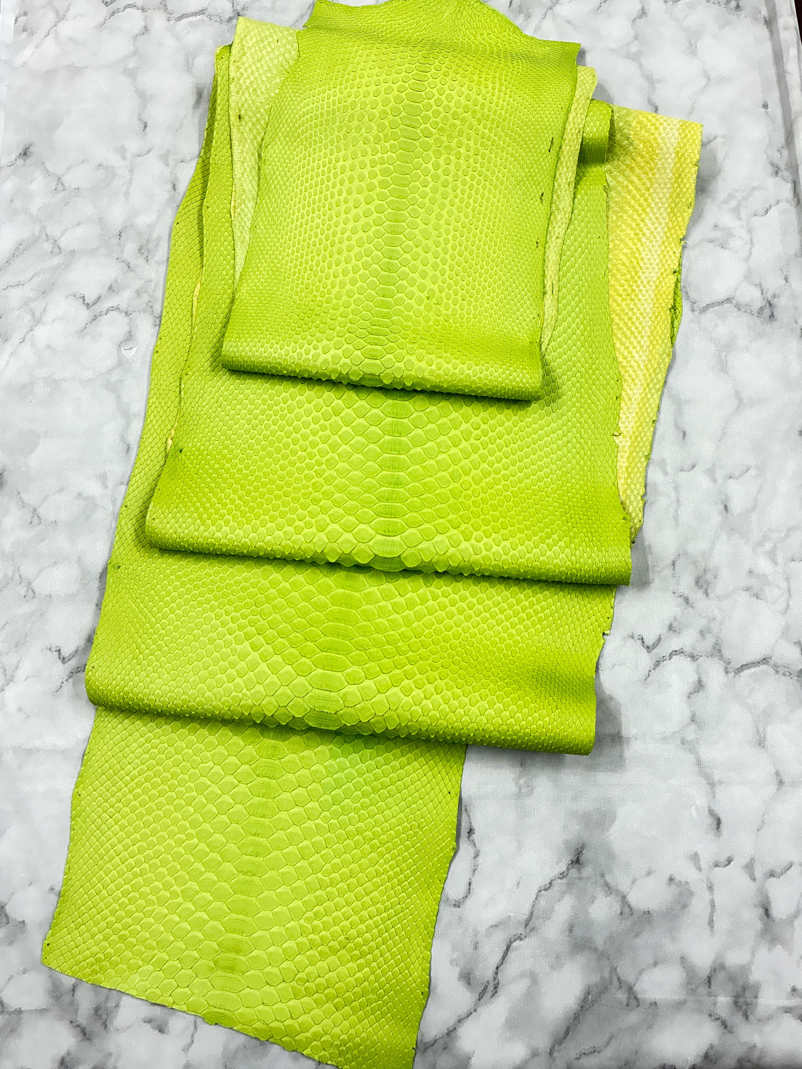 パイソン ヘビ革 マスカットグリーン×マット 一枚革_P261