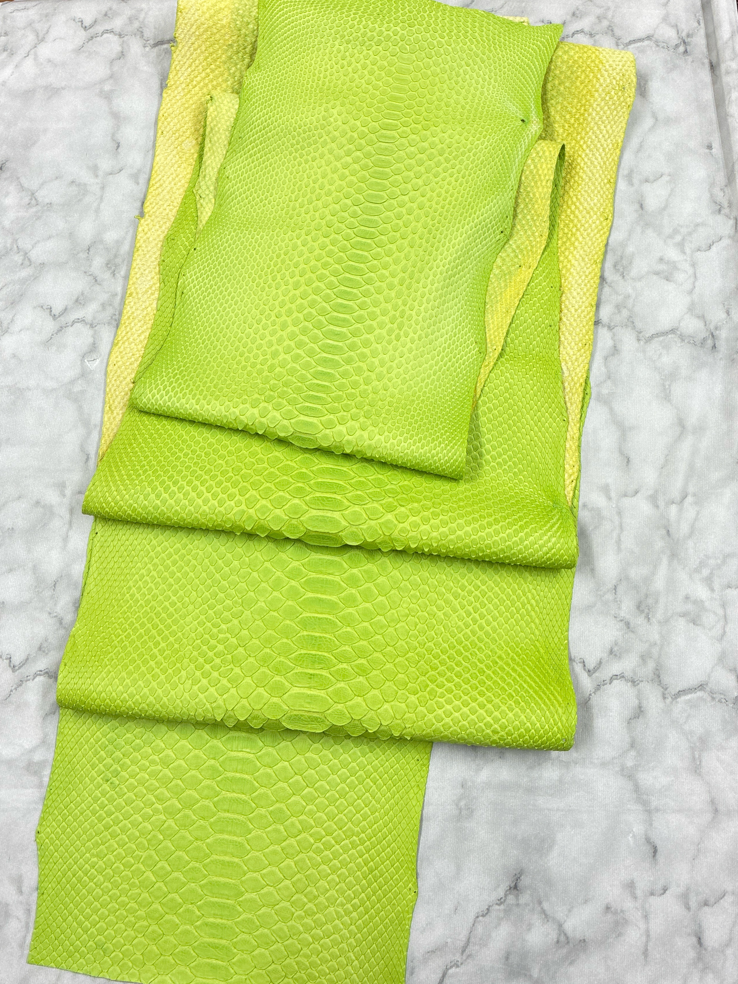 パイソン ヘビ革 マスカットグリーン×マット 一枚革_P262